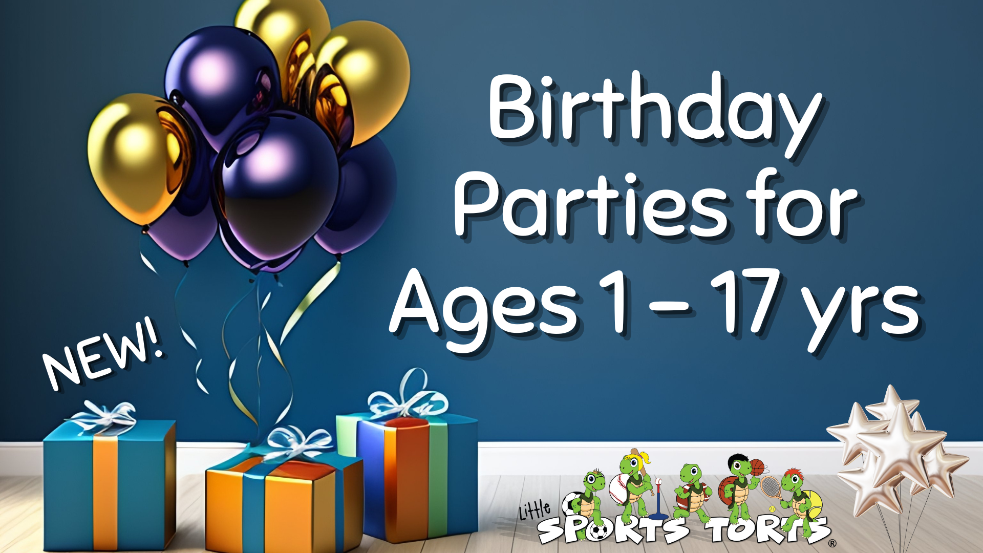 Birthday Party Banner